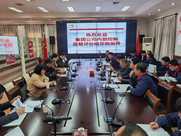 集團(tuán)公司到公司開展內(nèi)控自評檢查工作 集團(tuán)公司到公司開展內(nèi)控自評檢查工作